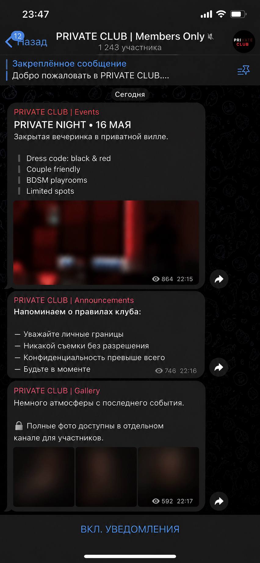 Telegram channel screenshot